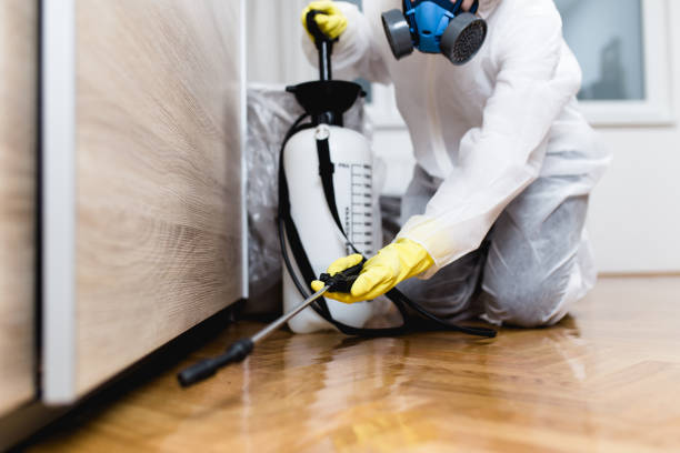 Best Pest Control for Homes  in Wareham Center, MA