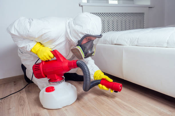 Best Flea Control Services  in Wareham Center, MA