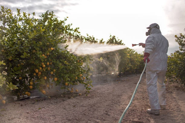  Wareham Center, MA Pest Control Pros