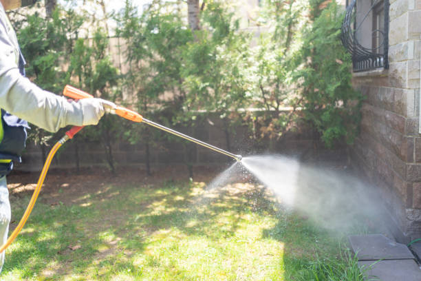 Best Pest Inspection Near Me  in Wareham Center, MA