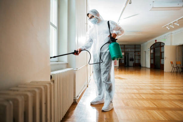 Best Wasp Removal Services  in Wareham Center, MA