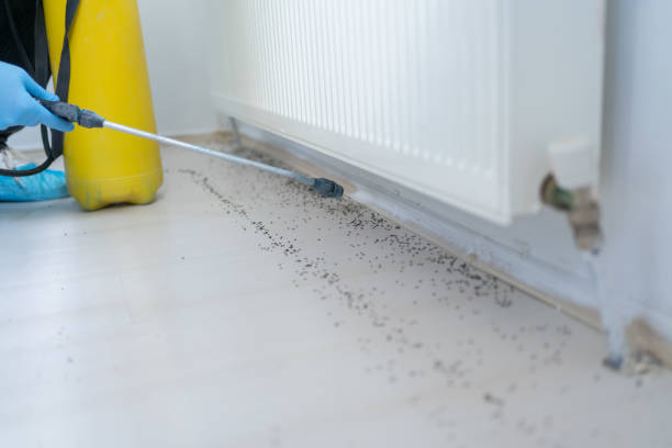 Best Exterminator Services  in Wareham Center, MA